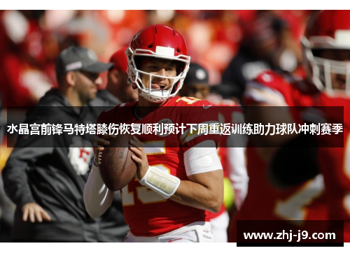 水晶宫前锋马特塔膝伤恢复顺利预计下周重返训练助力球队冲刺赛季 水晶宫前锋马特塔膝伤恢复顺利预计下周重返训练助力球队冲刺赛季