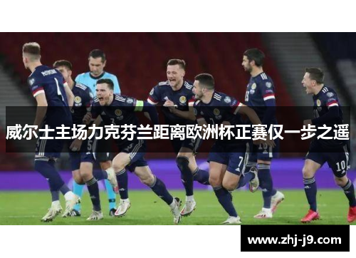 威尔士主场力克芬兰距离欧洲杯正赛仅一步之遥 威尔士主场力克芬兰距离欧洲杯正赛仅一步之遥